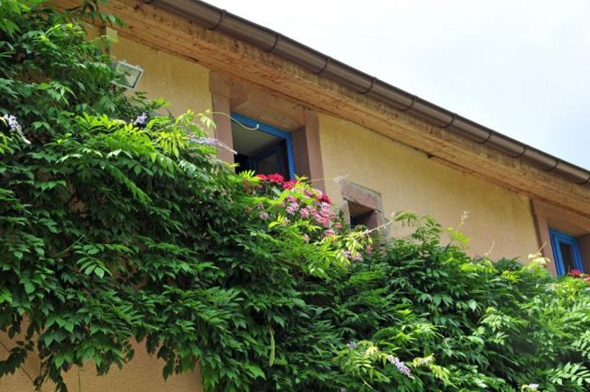 Auberge De La Cholotte Les Rouges-Eaux Buitenkant foto