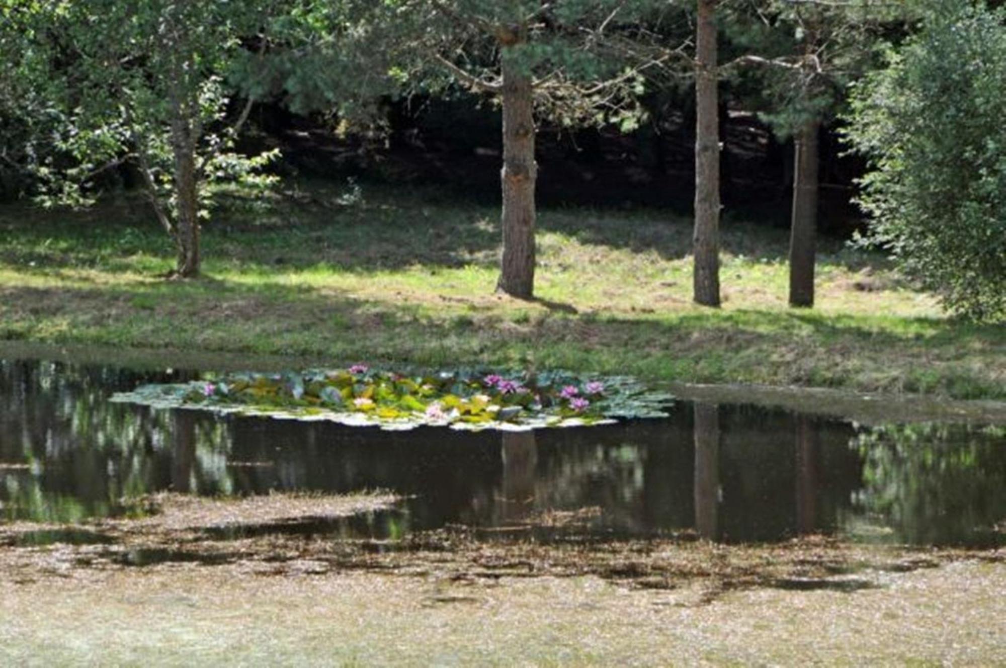 Auberge De La Cholotte Les Rouges-Eaux Buitenkant foto