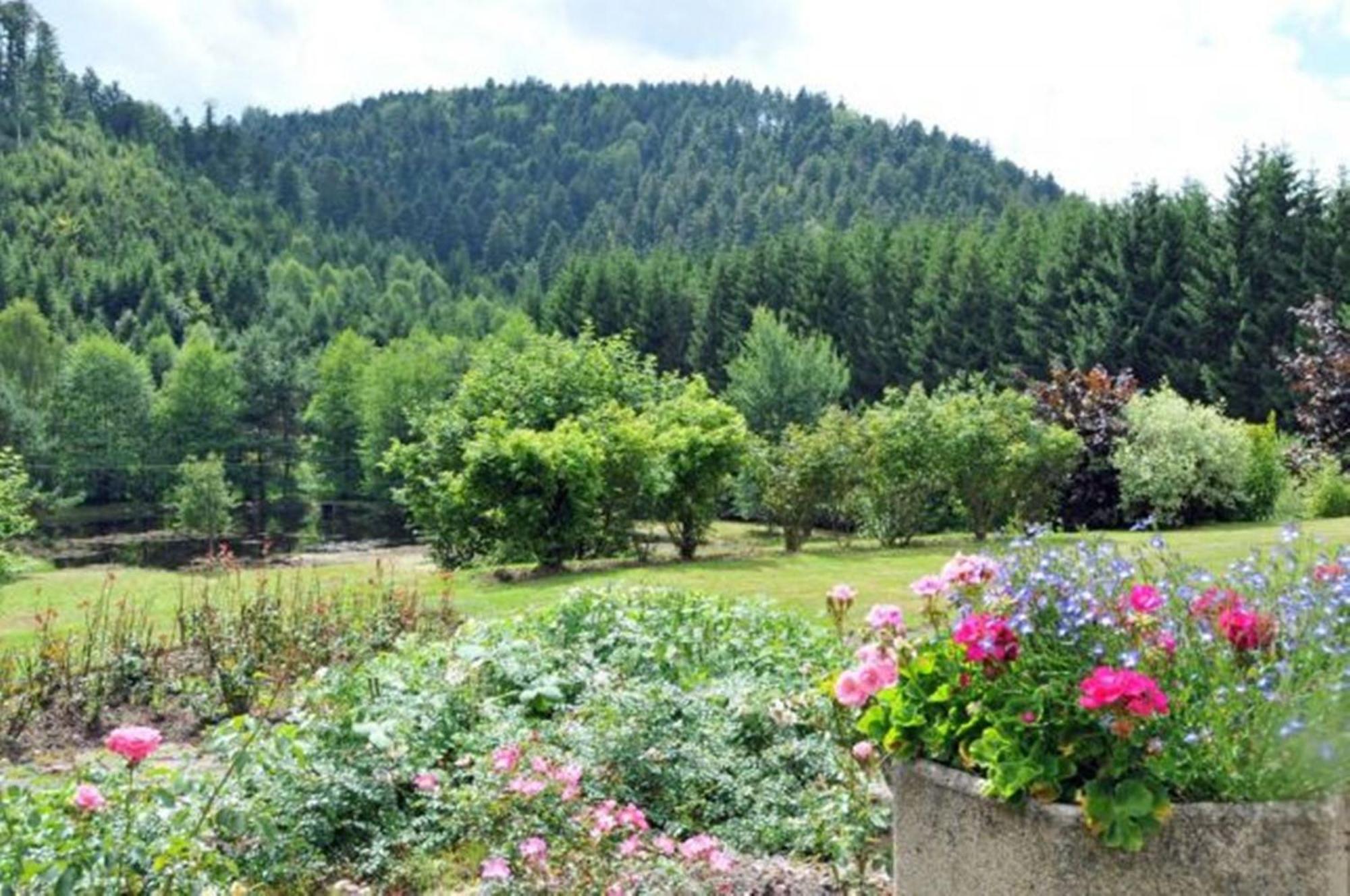 Auberge De La Cholotte Les Rouges-Eaux Buitenkant foto